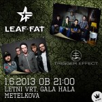 LEAF-FAT PROMO WEB