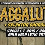 Raggalution letni vrt 2015 banner 1020x377