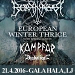 Borknagar_poster_S